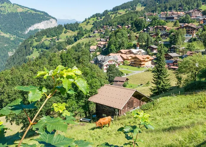 Panoramapark Soleil F Silbermond *